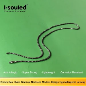2.5mm Box Chain Titanium Necklace Modern Design Hypoallergenic Jewelry