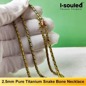 Minimalist Snake Chain Pure Titanium Necklace 2.5mm Thick High-End Multi-Occasion