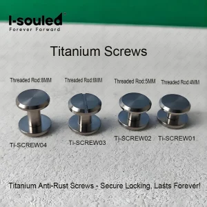 Aircraft Titanium Belt Buckle Screws | Corrosion Proof Fasteners for Bags/Watches/Outdoor